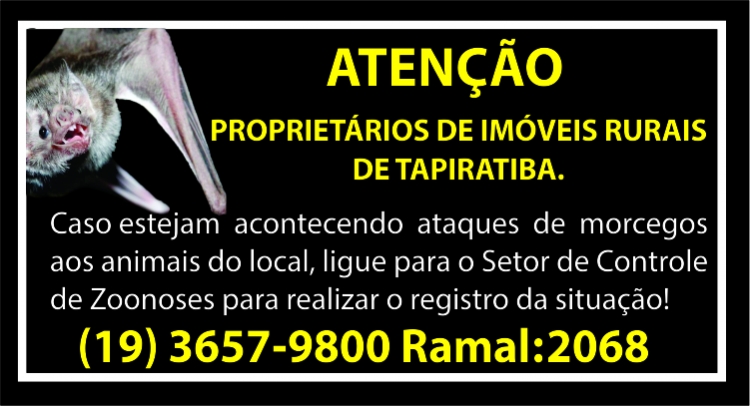 Capa da notícia